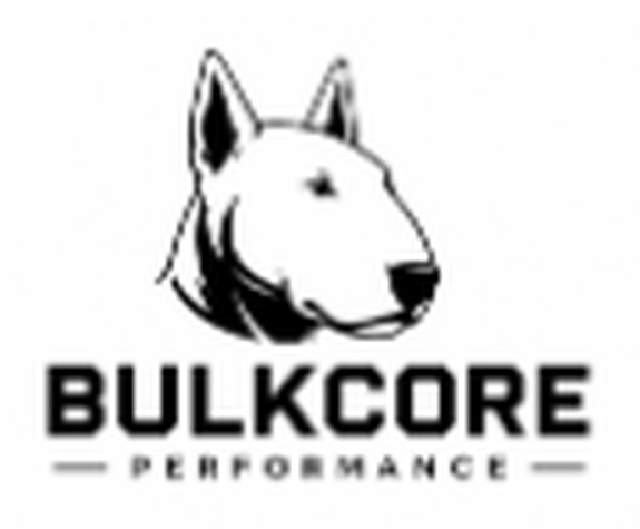 Bulkcore Performance